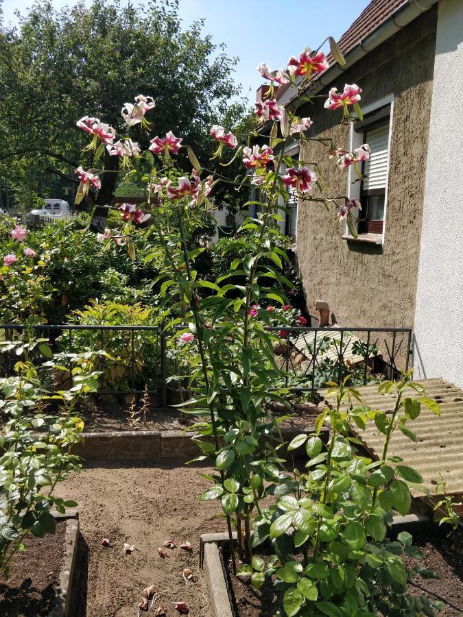 Gaestehaus Am Teich Raben Steinfeld 外观 照片