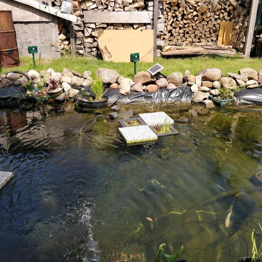 Gaestehaus Am Teich Raben Steinfeld 外观 照片